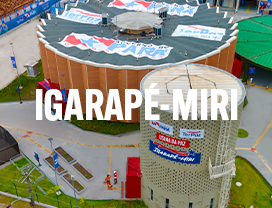 Igarapé-Miri